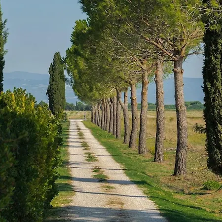 Vakantieboerderij Bandinelli
