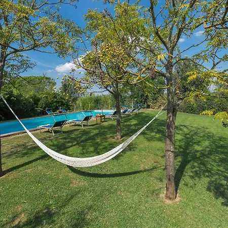 Bandinelli * 브라카그니