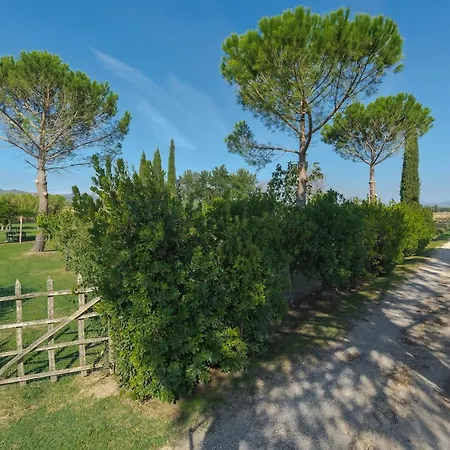Apartment Bandinelli Braccagni
